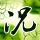 一比一原版国立政治大学毕业证【degxx.com】